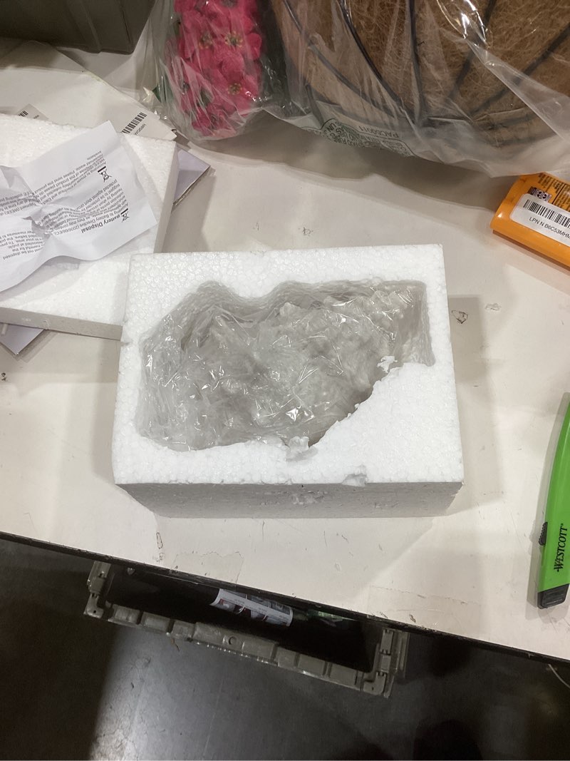 Condition photo showing New/Like New for Beach Theme Night Light - Conch Shell Shaped LED Lamp with Auto Timer, Yellow Glow, Battery Powered Safe Lighting for Nursery, Bedroom, Bathroom Decor, Gift Ready for Kids, Christmas, Coastal Home