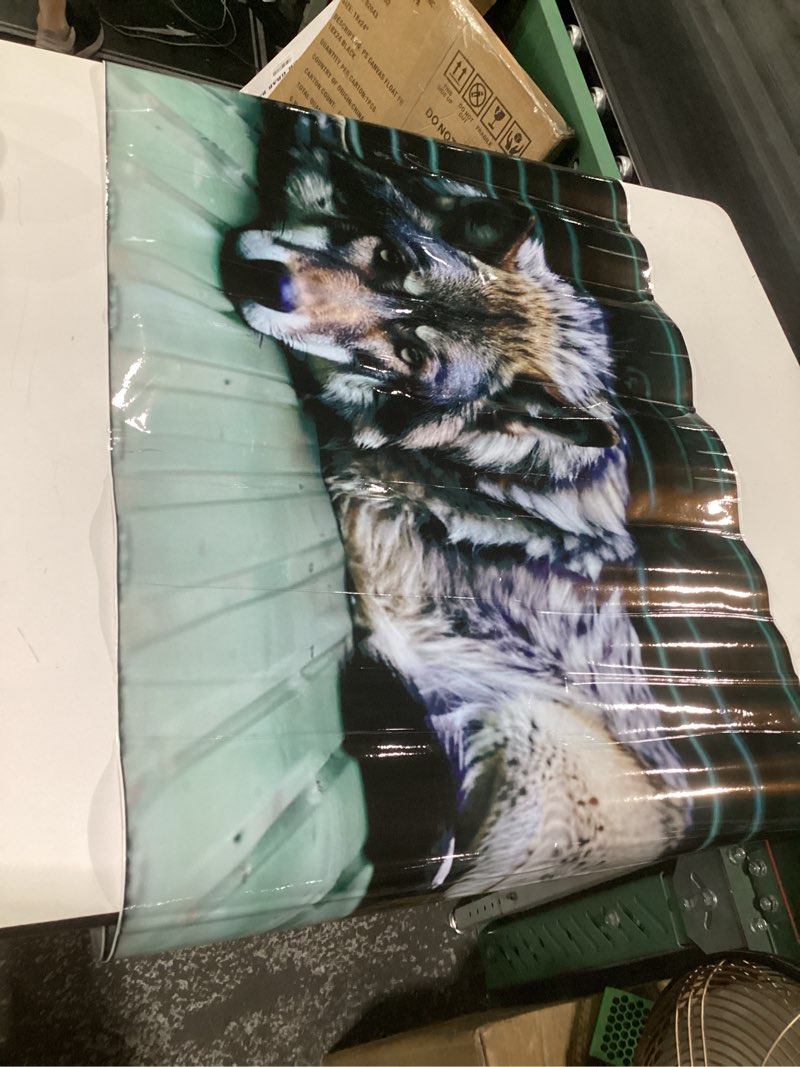 Condition photo showing Good Condition for rear window decals for trucks, similar to stock photos, size unknown