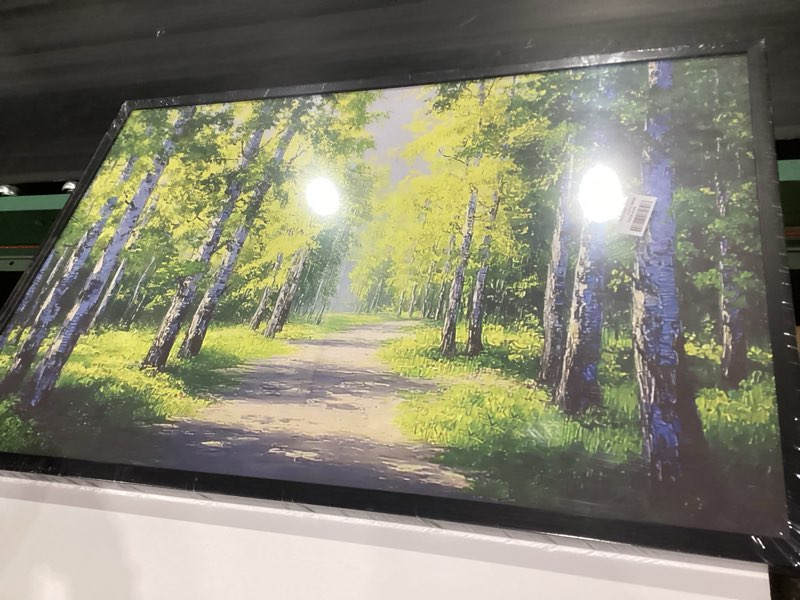 Condition photo showing Good Condition for sunrise forest canvas wall art for living room nature landscape pictures wall decor sunset woods mountain painting sunset trees trail scenery photo prints poster artwork bathroom decorations 12x16” 16\"l x 12\"w green forest, similar to stock photo