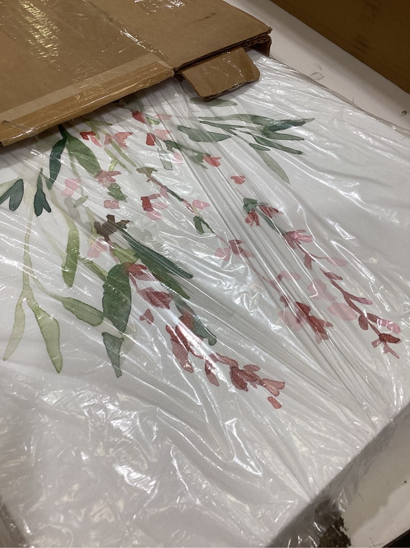Condition photo showing Good Condition for trademark fine art 'herb garden sketches v' canvas art by emma scarvey