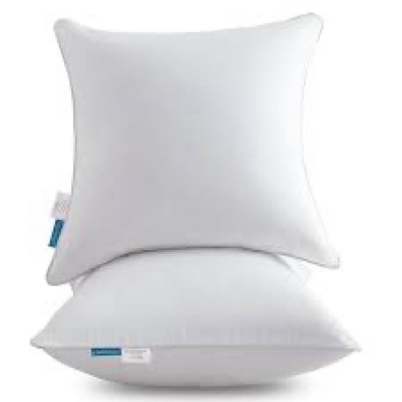 Oubonun 24x24 Square Pillow Inserts (Set of 2) - 100% Cotton Cover - Decorative Interior Sofa Pillow Pair - White