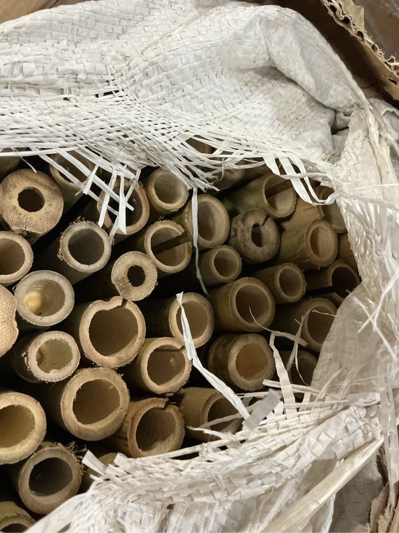 Condition photo showing Good Condition for jollybower 4ft high x 8 ft long x 0.7in d bamboo fencing, natural bamboo fence rolls, eco-friendly privacy fencing for outdoor balcony patio garden border pool 4 ft x 8 ft