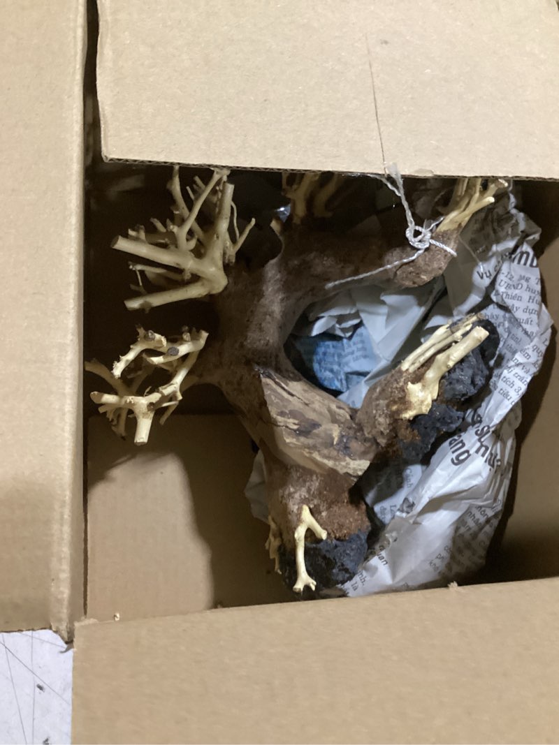 Condition photo showing As Is for bonsai driftwood aquarium tree (8in h x 6in l), handcrafted fish tank decoration | easy to install driftwood bonsai for fish tank | decor aquascape wood (bonsai tree on rocks)