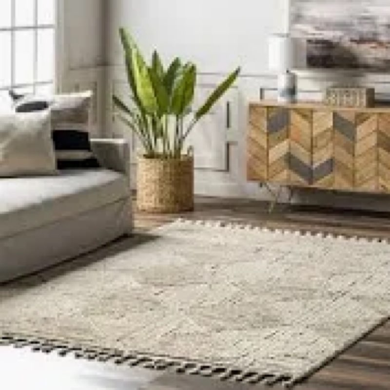 NuLoom area rug 7’10”x10”