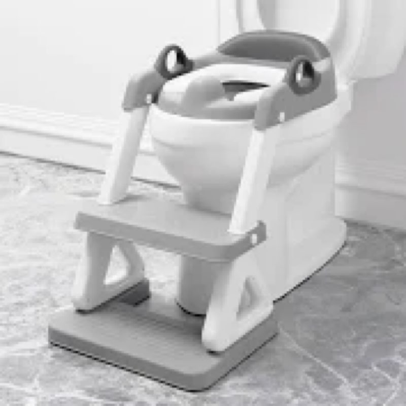Potty training seat with step ladder wiifo