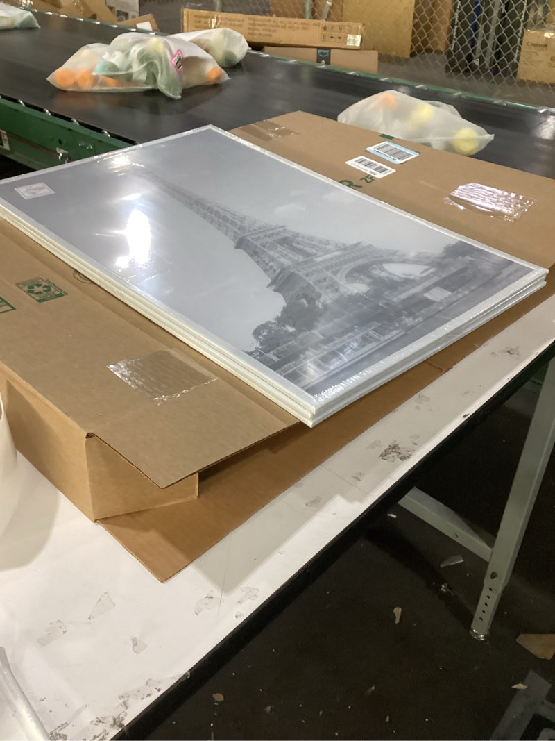 Condition photo showing New/Like New for Paris wall art