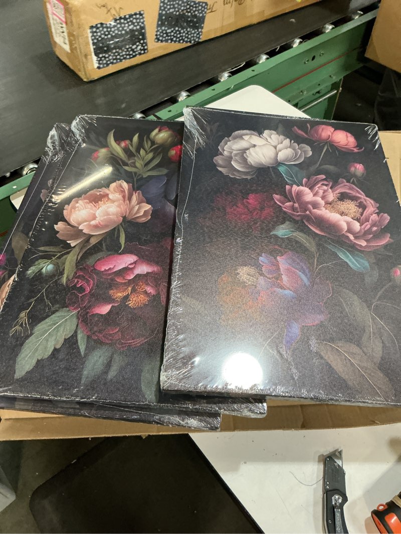 Condition photo showing New/Like New for 3 pcs moody floral canvas wall art vintage dark peony flowers botanical still life painting picture wall decor poster print artwork for living room bedroom women room home decoration black-canvas 24l" x 16w"