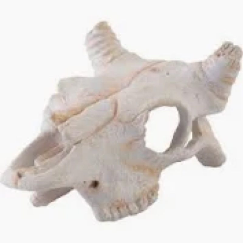 Exo Terra Buffalo Skull Reptile Hideout