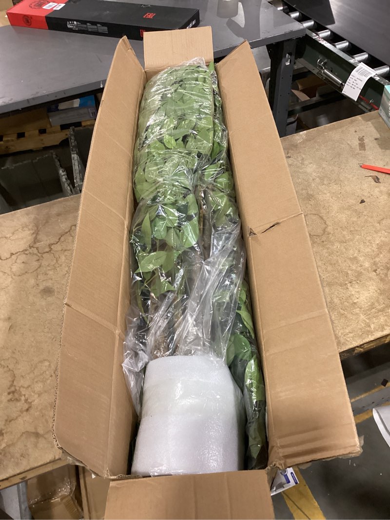 Condition photo showing New/Like New for 2packs 6ft artificial ficus tree,fake plants with sturdy plastic nursery pot,faux ficus trees for home office living room farmhouse indoor outdoor decor perfect housewarming gift (6ft-2packs) 6ft-2packs ficus tree