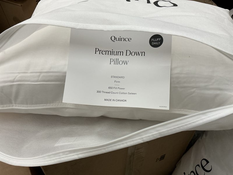 Condition photo showing Good Condition for quince premium down alternative pillow, standard, firm