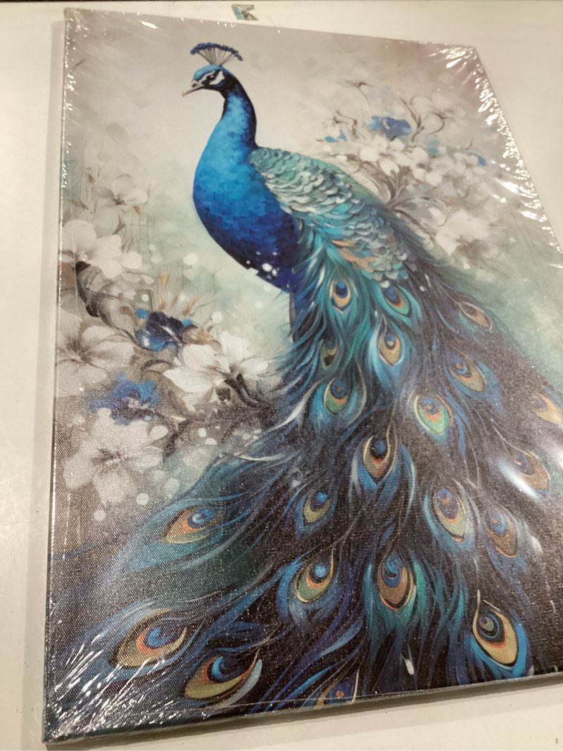 Condition photo showing New/Like New for QIXIANG Elegant Peacock Canvas Paintings Art Animal Prints Bedroom Decor Framed Ready to Hang (Peacock, 16.00" x 24.00") Peacock C 24"L x 16"W