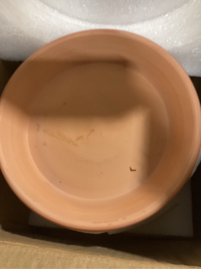 Condition photo showing As Is for ingofin 8 inch terracotta shallow pots set with saucer - ceramic clay pots with drainage hole, terra cotta pot for plants for indoor outdoor plants, set of 2 shallow 8/8 inch -2 pcs