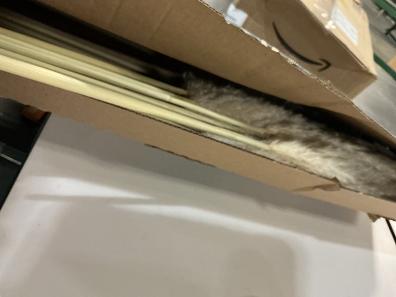 Condition photo showing As Is for 40" 11 PCS Dried Pampas Grass Decor Tall,Large Natural Beige pompas Grass,Tall Pampas Grass for Floor Vase,Wedding,Party,Farmhouse,Boho Home Decor,and Creating a Bohemian Ambiance 11pcs Beige-40inch