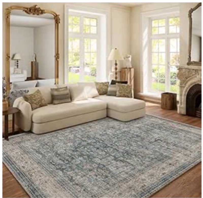 Washable Living Room Area Rug: 6x9 Area Rugs for Bedroom Vintage Stain Resistant Non Slip Low Pile L