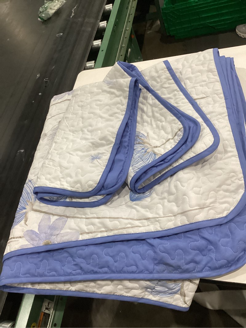 Condition photo showing Good Condition for Dinjoy Floral Quilt Set Queen,Blue Bedspreads Queen Size 3 Pieces Cute Bedding Set Farmhouse Quilts Soft Flower Bedspreads White Coverlet Sets for All Season Blue Queen