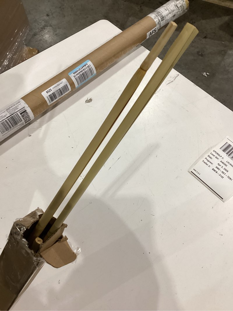 55" inch scarcity natural pampas grass decor tall, pompas grass, tall pampas grass for wedding, part