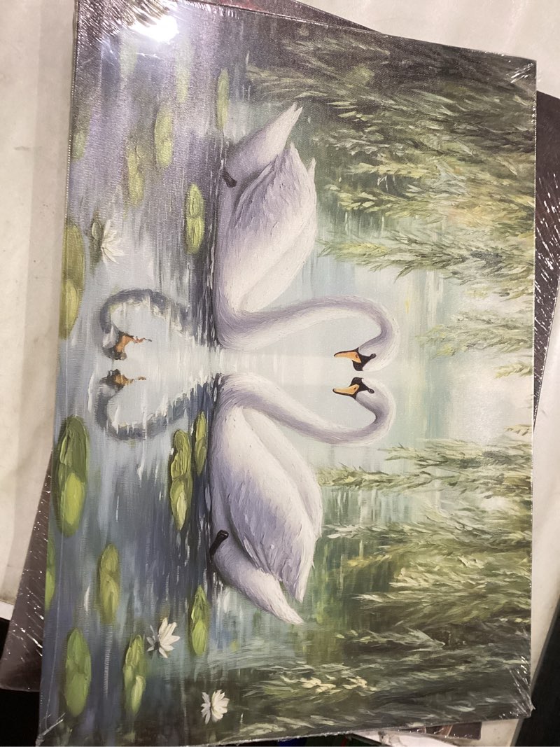 Condition photo showing New/Like New for DOARTDO Swan Lake Canvas Wall Art Swan Couple Prints Wall Decor for Bedroom White Swan Painting Romantic Elegant Animals Pictures Two Love Swan Artwork Framed (White, (18 x 30)