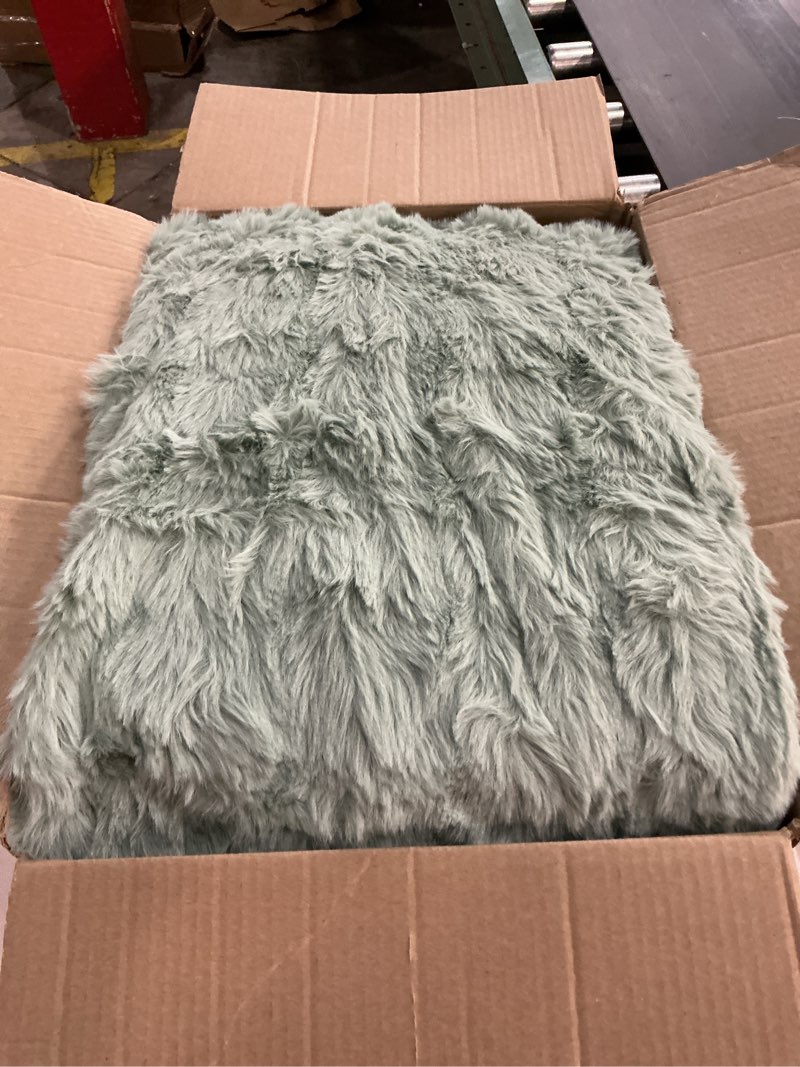 Condition photo showing Good Condition for Lotus Karen Faux Fur Throw Blanket Sage Green - Big Bubble Rabbit Fluff Blanket for Couch Bed Sofa,Softest Fluffy Fuzzy Cozy Blanket,Plush Thick Furry Shaggy Warm Blankets for Women,108x90 Inches Sage Green King (108" x 90")
