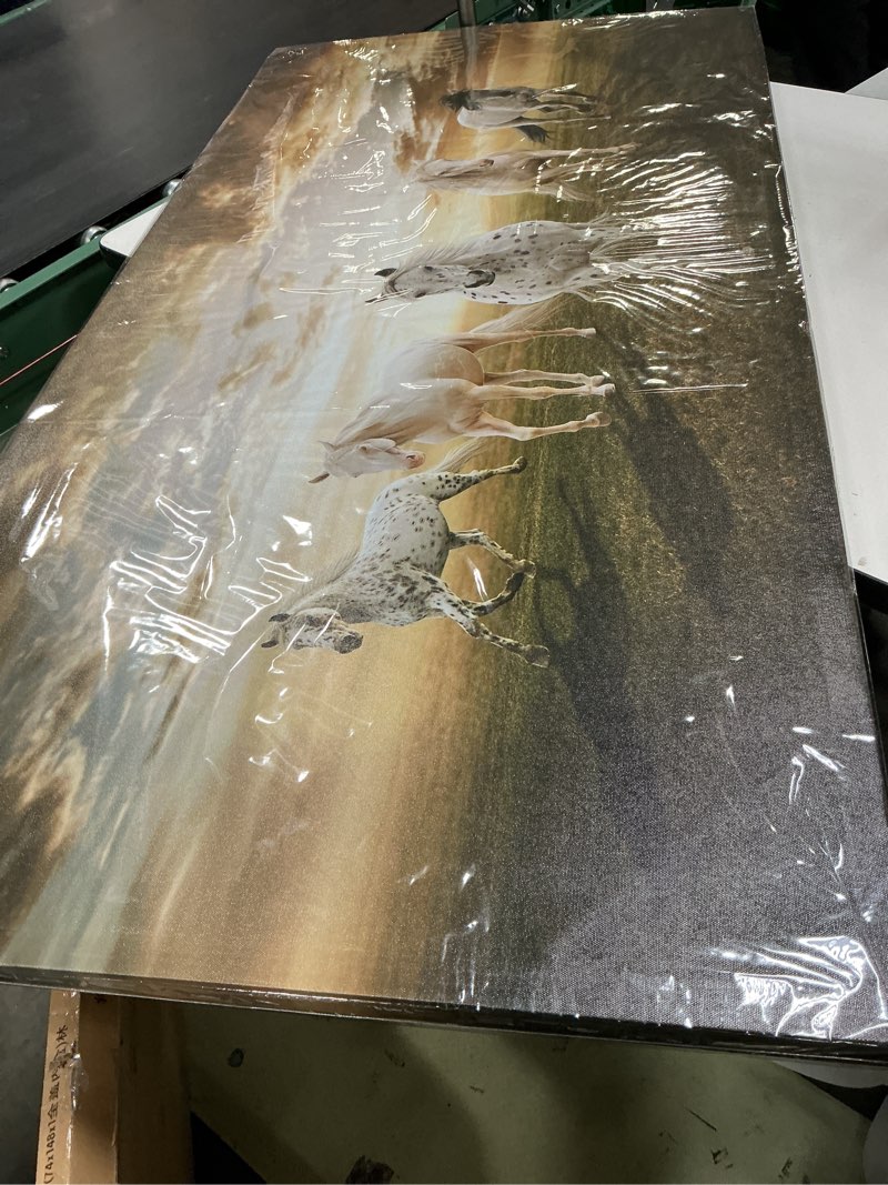 Condition photo showing Good Condition for xxmwallart fc1975 canvas wall art horse picture canvas prints modern decor wall art painting canvas prints fine art for living room bedroom kitchen home and office drawing room wall decor 60l" x 30w" horses