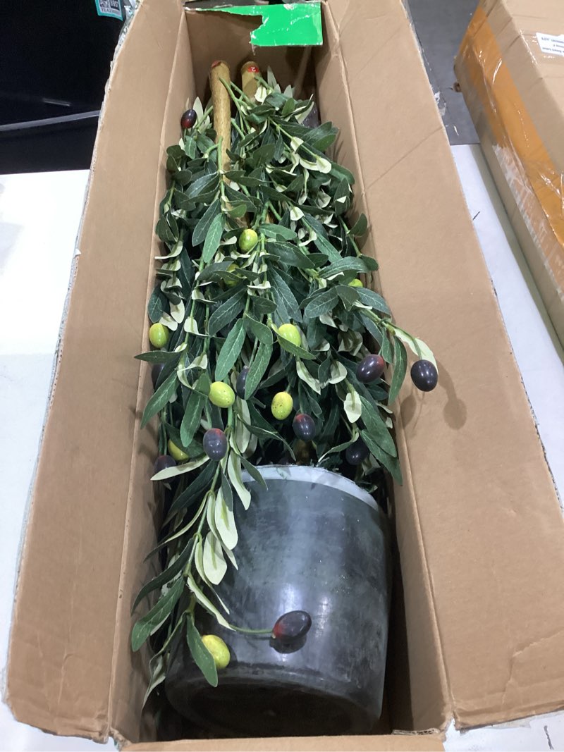 Condition photo showing As Is for 6ft tall faux olive tree with dew-like leaves – indoor decorative artificial plant with silk green foliage