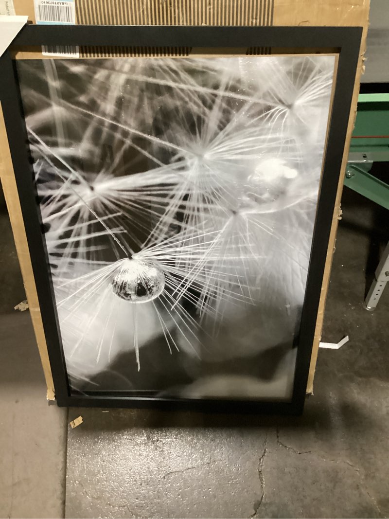 Condition photo showing New/Like New for Americanflat 27x39 Poster Frame in Black - Photo Frame with Engineered Wood Frame and Polished Plexiglass Cover - Horizontal and Vertical Formats for Wall with Built-in Hanging Hardware