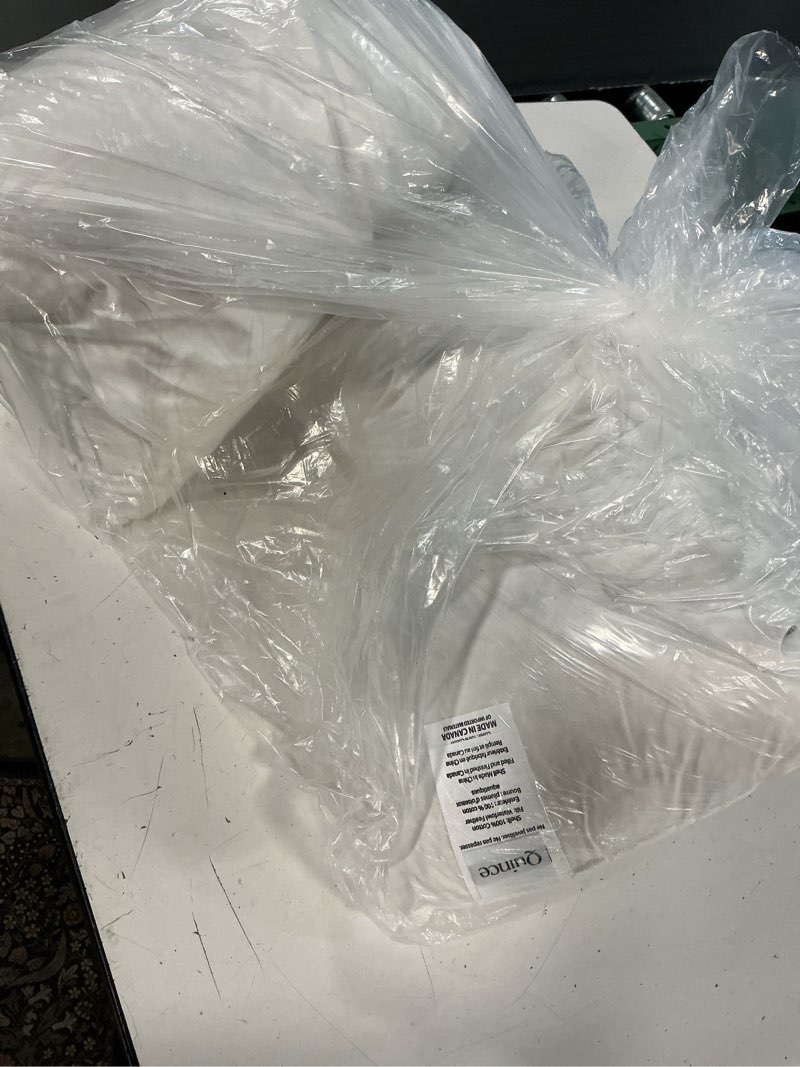 Condition photo showing As Is for quince (incomplete 1 piece)premium feather pillow insert (set of 2), 12x48, no color