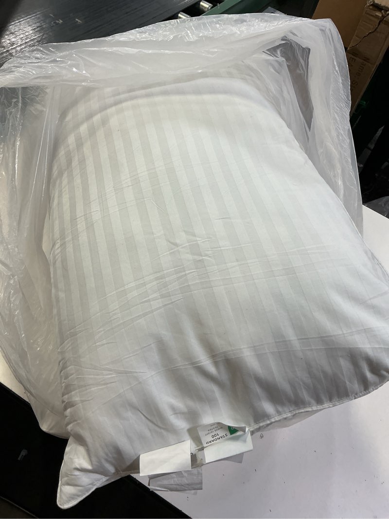 Condition photo showing Good Condition for COZSINOOR Goose Feather Pillows Queen Size Set of 2 - Hotel Down Bed Pillow for Sleeping, Soft 600 TC Cotton Cover, Fluffy Support Surround Fill Down Alternative for Back, Stomach, Side Sleepers Queen Medium