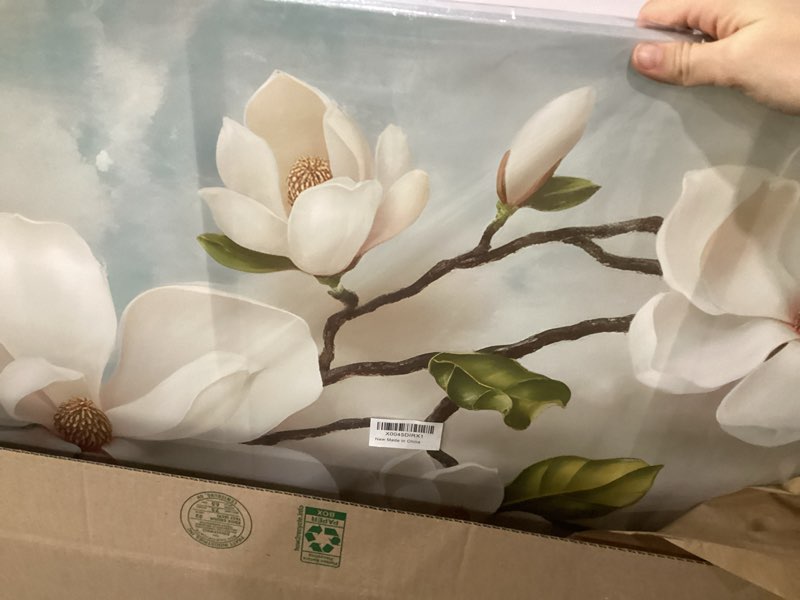 Condition photo showing Good Condition for canvas wall art spring magnolia white flower vintage framed canvas picture prints wall decor canvas painting artwork ready to hang for living room bedroom 24" x 36"
