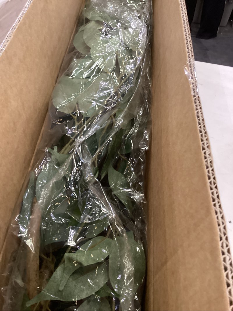 Condition photo showing Good Condition for Artificial Ficus Tree 4ft, Artificial Plants Indoor with Realistic Leaves & Trunk, Fake Plants for Home Office Living Room Decor.