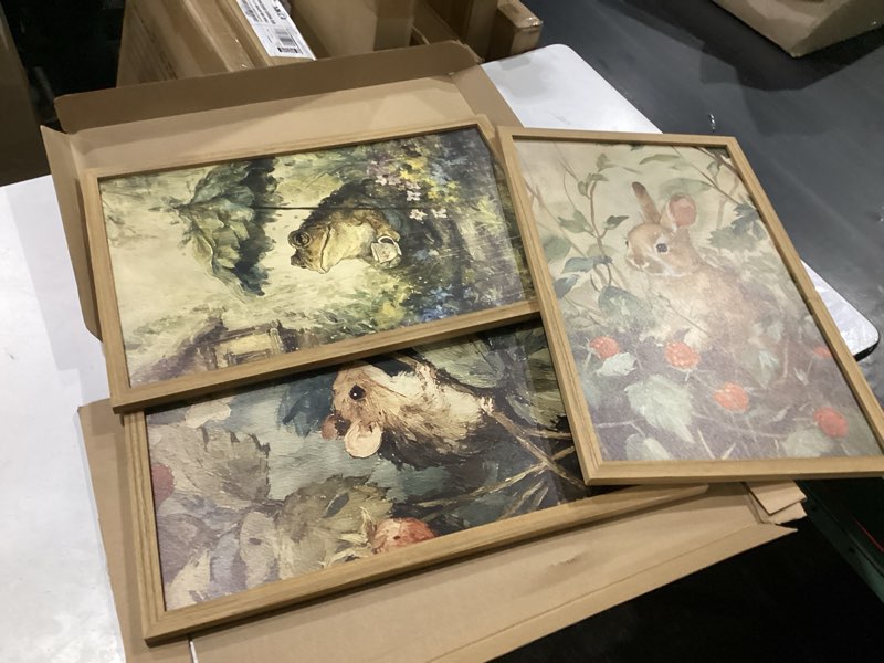 Condition photo showing New/Like New for framed vintage cottagecore wall art set of 3, cute rabbit frog mouse pictures wall decor, rustic animal botanical paintings canvas prints for nursery living room bedroom farmhouse home 16x24 inch vintage 24"l x 16"w