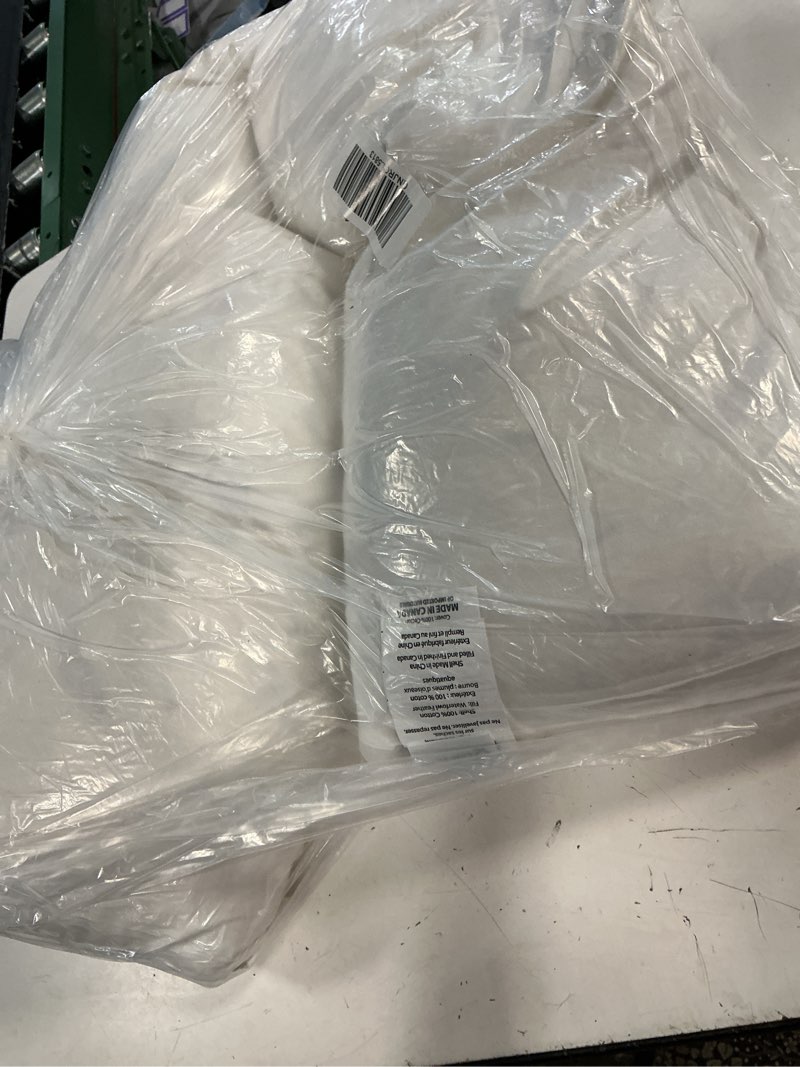 Condition photo showing As Is for premium feather pillow insert, 12x48, no color