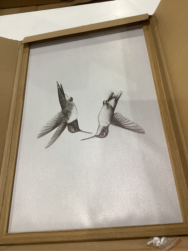 Condition photo showing New/Like New for vintage wall art framed hummingbird canvas print, modern farmhouse birds wall decor, living room sketch painting picture, minimalist black and white bird bedroom decor – 16x24 inch minimalist bird framed 24"l x 16"w