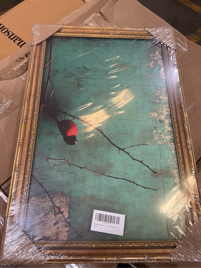 Condition photo showing Good Condition for vintage gold framed canvas wall art, funny birds plant painting picture wall decor,country farmhouse poster print artwork,for bedroom living room study home decoration red bird 24"l x 16"w
