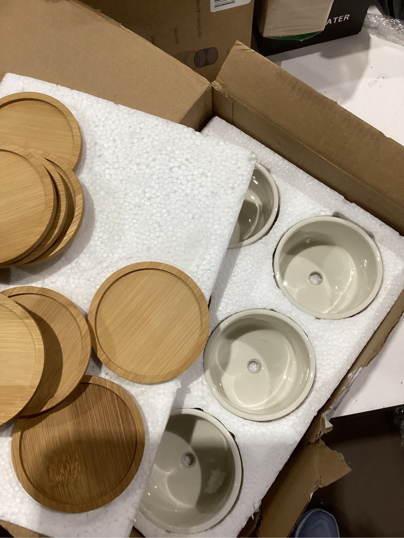 Condition photo showing Good Condition for cindeer 12 sets succulent plant pot ceramic succulent pots container cactus pots with bamboo tray small cylinder flower plant pot with bamboo saucers for plants indoor outdoor(white,3 x 2.17 inch) 3 x 2.17 inch white