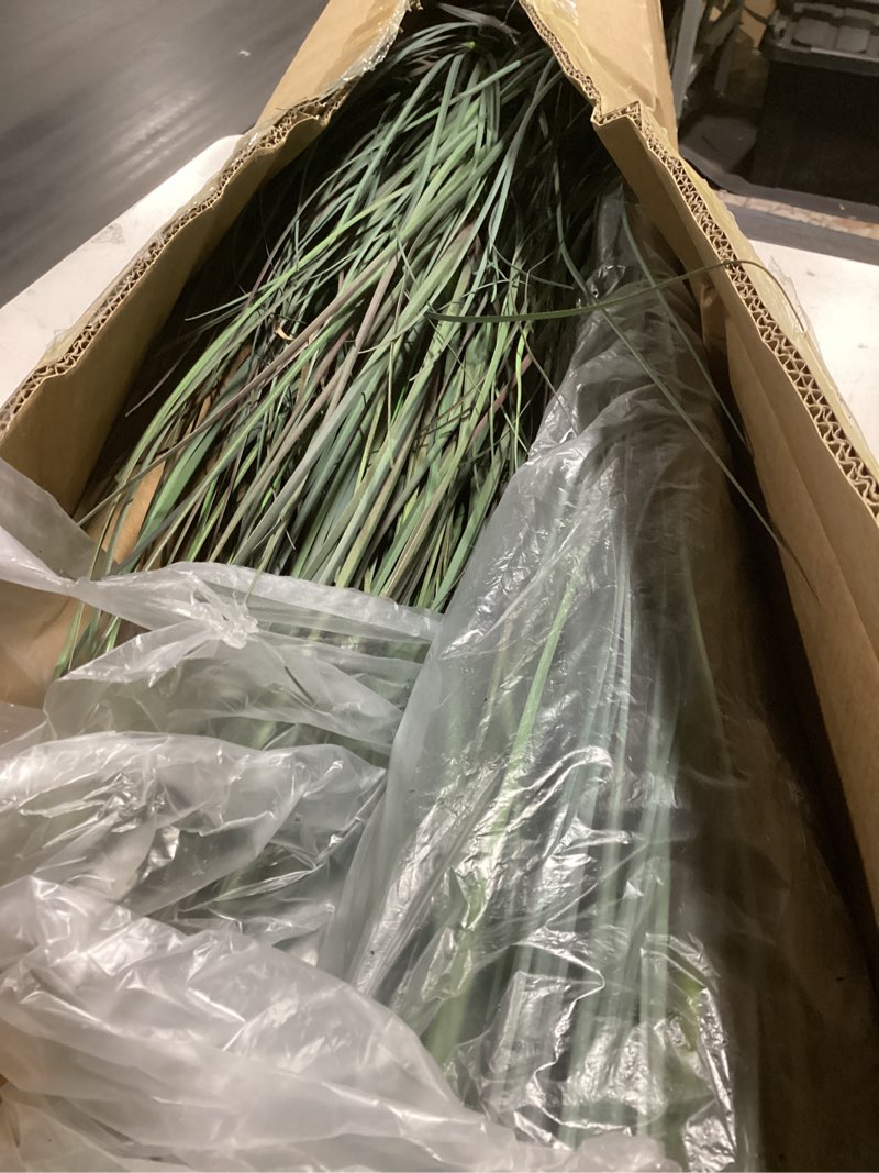 Condition photo showing Good Condition for faux 4ft 2-pack horsetail reed grass with pink spikes, 48in tall indoor outdoor fake grass in pot, home office decorative artificial plant & greenery, wedding decor green bristlegrass 4ft - 2pack lush green