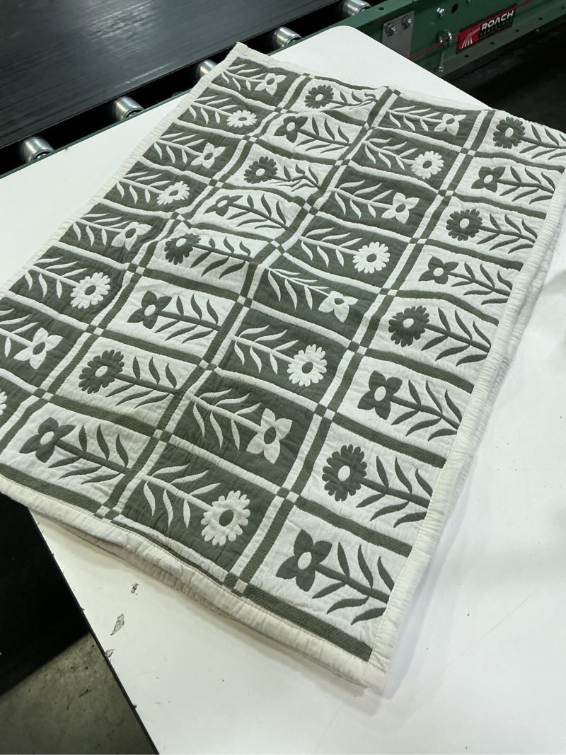 Condition photo showing Good Condition for organic cotton jacquard floral sham set dried sage 20in x 27.5in