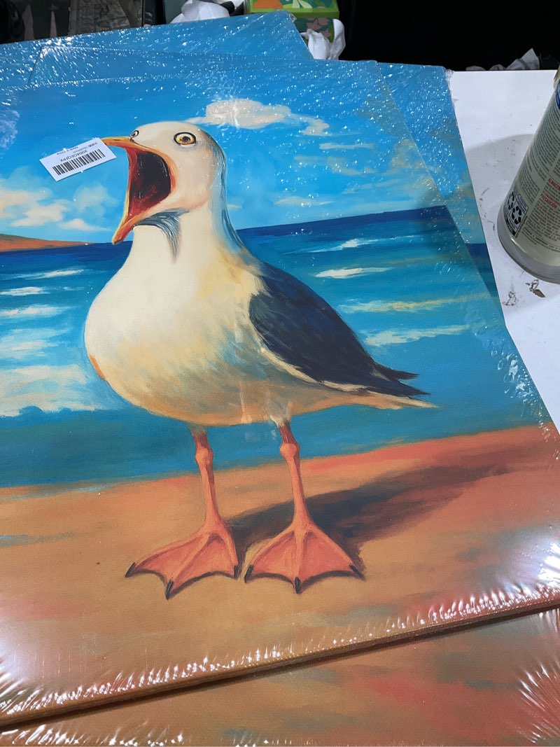 Condition photo showing Good Condition for funny seagull bathroom wall art beach canvas wall decor seaside seascape pictures paintings prints ocean artwork framed decorations for bedroom living room office gifts 16" x 20" seagull 20l" x 16w"