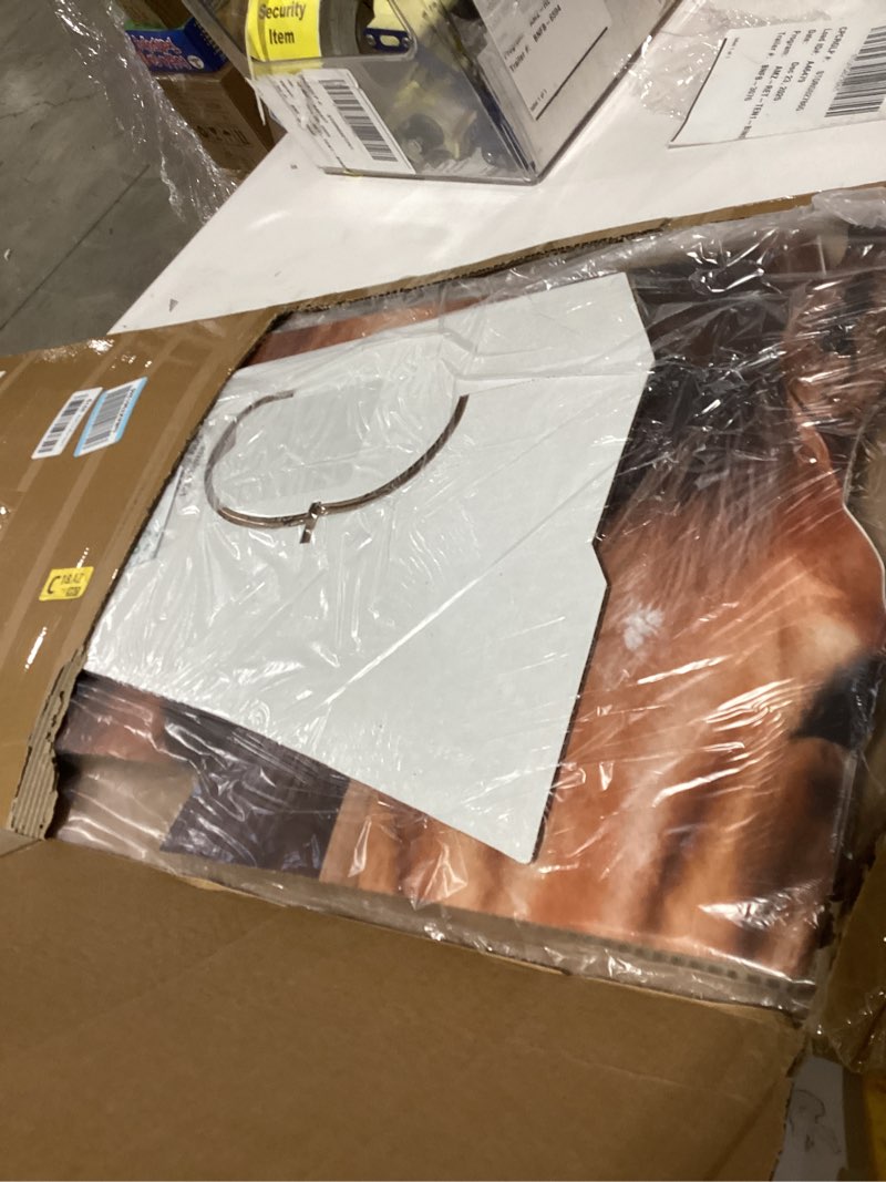 Condition photo showing As Is for Horse - Life Size Cardboard Cutout Standup People with Support Standee | Animals -1 Horse_1
