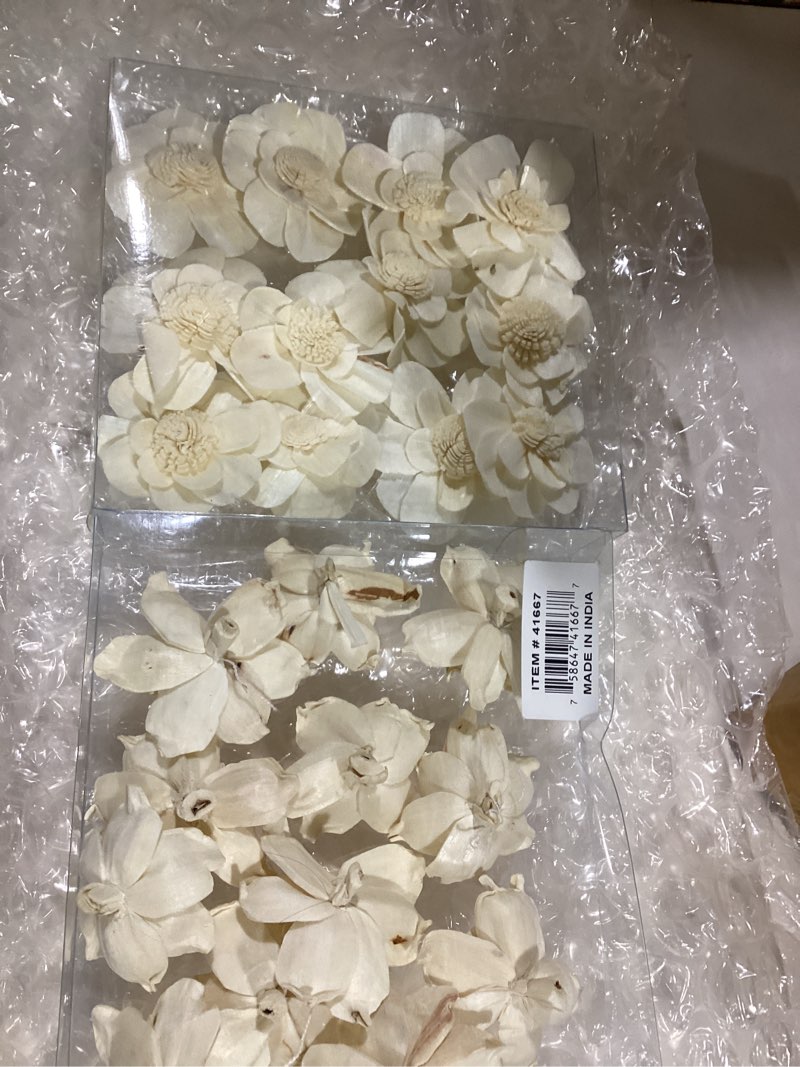 Condition photo showing New/Like New for White Dried Plant  Handmade Orbs & Vase Filler, 2 Assorted 6"W, 7"H