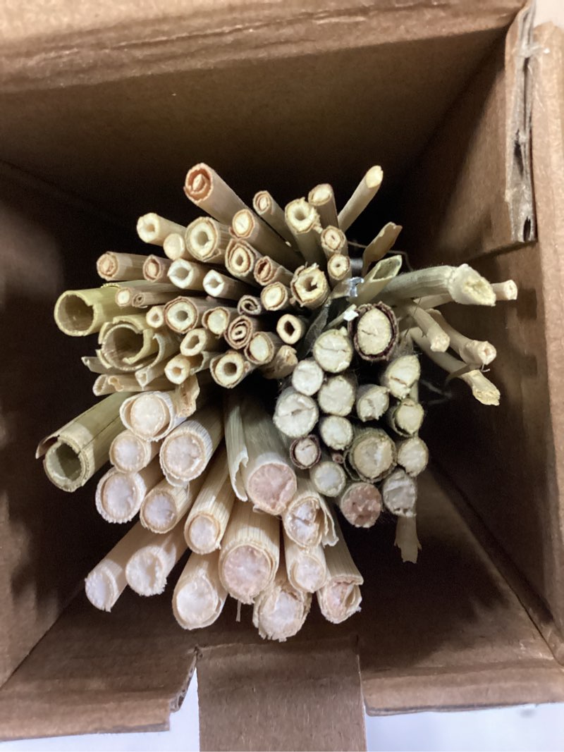 Condition photo showing As Is for sanmadrola 80 pcs natural dried pampas grass boho home decor dried reed flowers for wedding floral arrangements wall bathroom d?cor
