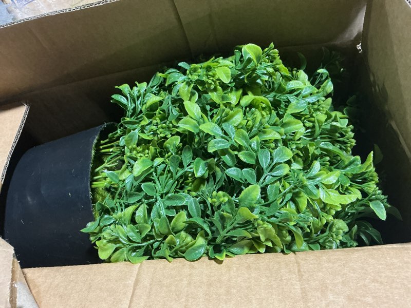 Condition photo showing Good Condition for Set of 2 Artificial Boxwood Topiary Ball Trees for Front Door - Realistic Faux Aglaia Odorata Bush with Pot, Fake Eucalyptus Leaves Potted Plants for Porch Farmhouse Outdoor Decor (Green)