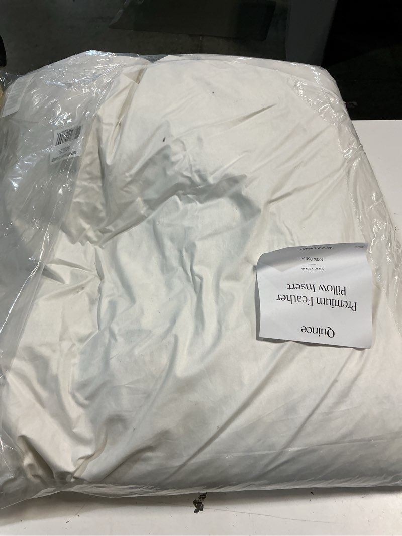 Condition photo showing As Is for quince premium feather pillow insert, 26x26, no color