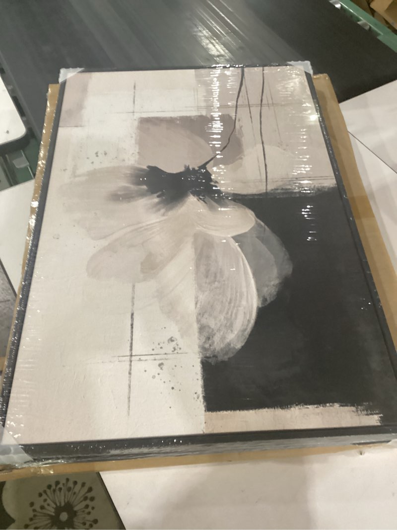 Condition photo showing Good Condition for framed neutral abstract floral wall art, 2 piece black and beige minimalist canvas prints paintings artwork for walls, modern elegant pictures for living room dining room bedroom wall decor 20x30 in 20" w x 30" h x 2pcs abstract floral harmony