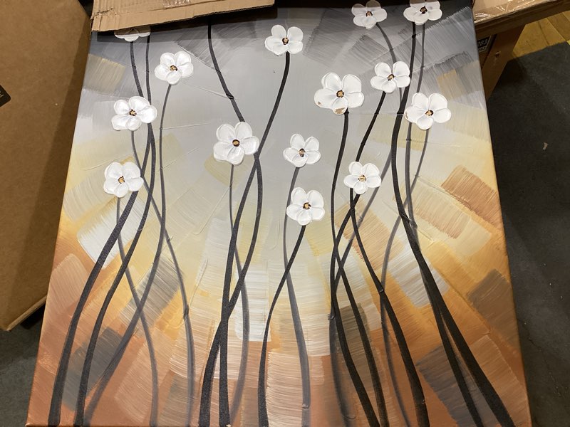 Condition photo showing Good Condition for wieco art morning dancing 100% hand painted oil paintings abstract canvas wall art modern stretched flowers artwork ready to hang for living room home decorations and wall decor gallery wrapped 24"l x 36"w