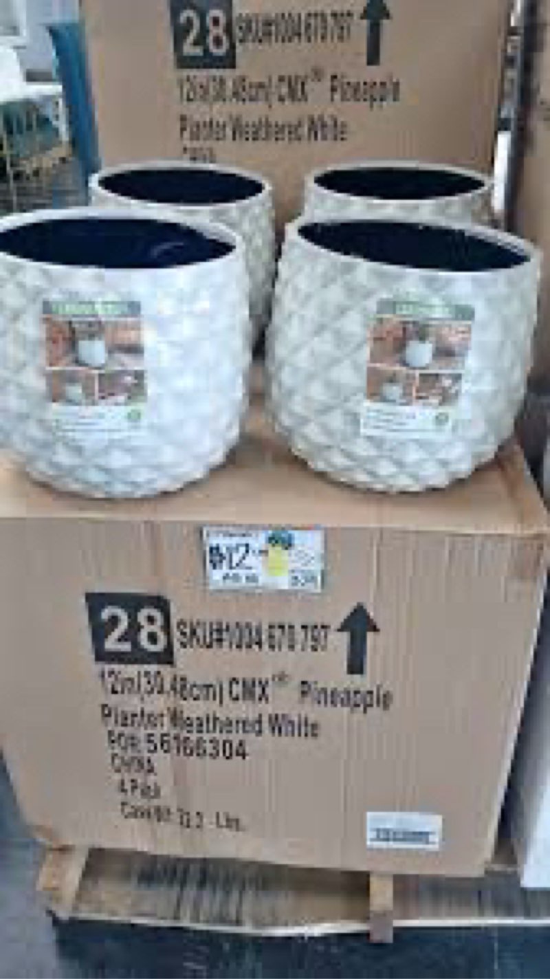 (Box of 4)12in (30.48cm) CMX Pineapple planter Weathered White
