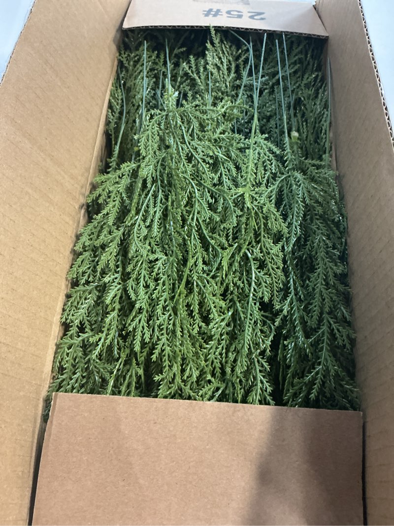 Condition photo showing Good Condition for 60 Pcs/Set Christmas 3D Artificial Pine Branches- 12.5 Inch Faux Evergreen Cedar Sprigs Branches- Fake Foliage Pine Needles Picks with Artificial Red Berry Stems for DIY Christmas Decoration