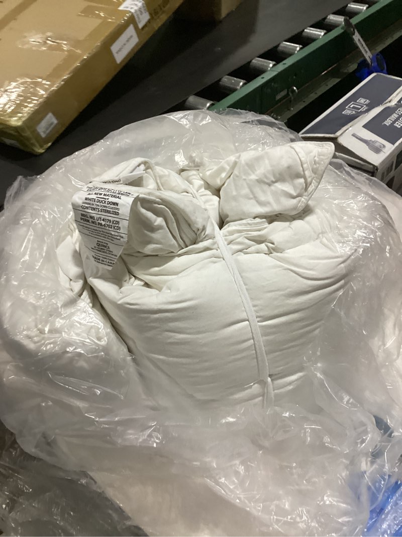 Condition photo showing As Is for **similar to** quince premium down duvet insert