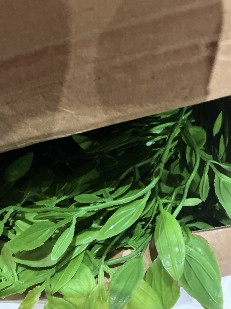 Condition photo showing Good Condition for Cherica 43.3 Inch Green Nandian Fake Plants 2 Pcs Greenery Stems for Vase Decor, Artificial Plants Faux Branches for Vase Filler Fake Leaves Office Home Decor 2 Pcs Green Nandina