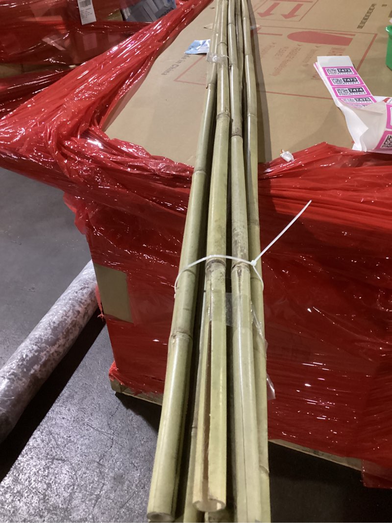 Condition photo showing Good Condition for Cambaverd Bamboo Stakes 8 Feet, Diameter of 1 Inch Thicker Garden Stakes, Natural Plant Stakes for Tomatoes, Cucumbers, Grape Vine Climbing Plants Support and Natural Decoration - 10 Pack Bamboo Poles 8 FT-10PACK