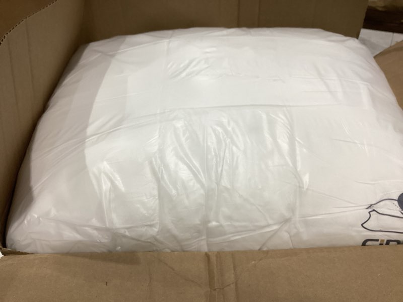 Condition photo showing Good Condition for miulee 22x22 throw pillow inserts set of 2, decorative throw pillows for couch sofa bed, 100% virgin fiber filling 2 22x22 inch(pack of 2)